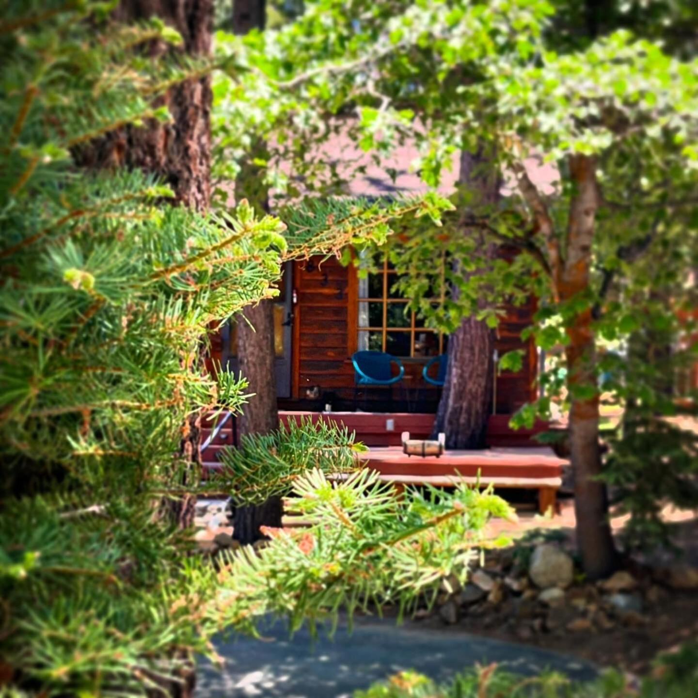 Villa The Nest On Towne Trail - Hot Tub, Bbq, Fire Pit Big Bear Lake Esterno foto